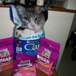 Cat Food Donations