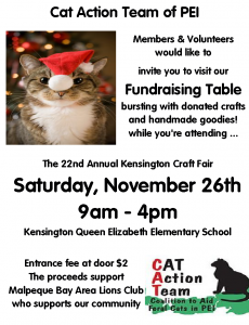 cat-kensington-craft-fair